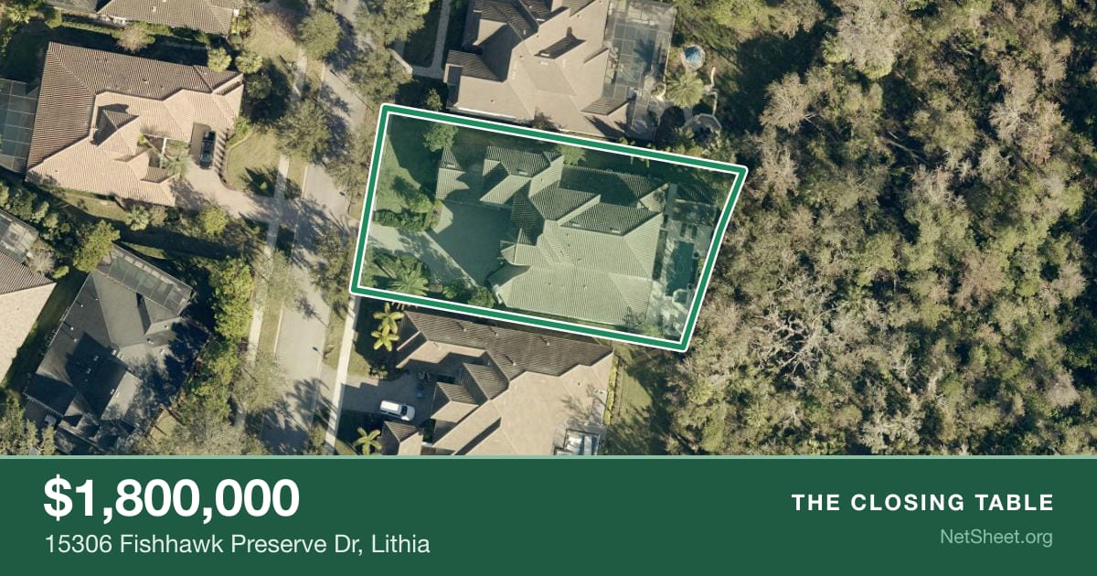 Aerial view of 15306 Fishhawk Preserve Dr, Lithia