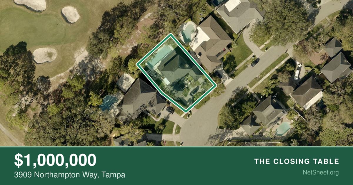 Aerial view of 3909 Northampton Way, Tampa